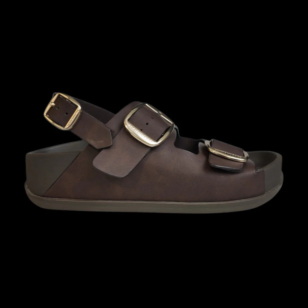 ANATOMICORE LABS- Brown