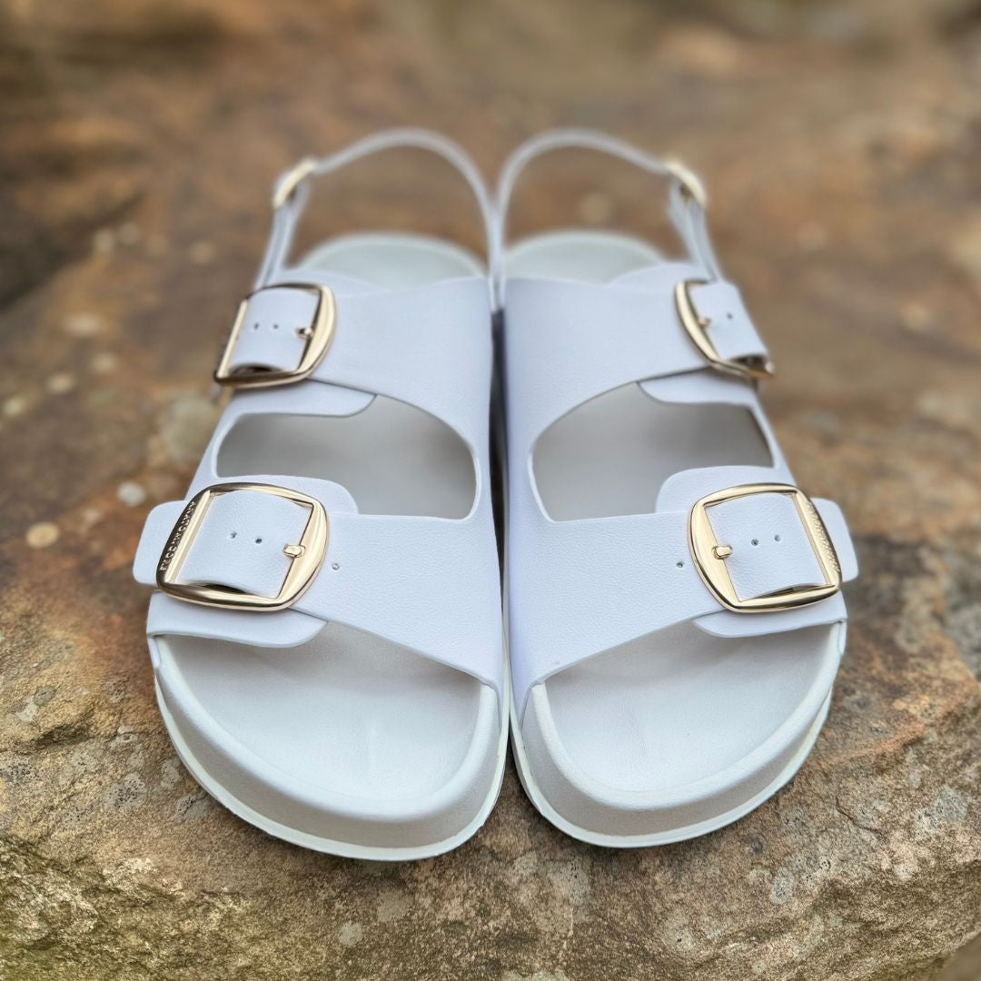 ANATOMICORE LABS - White