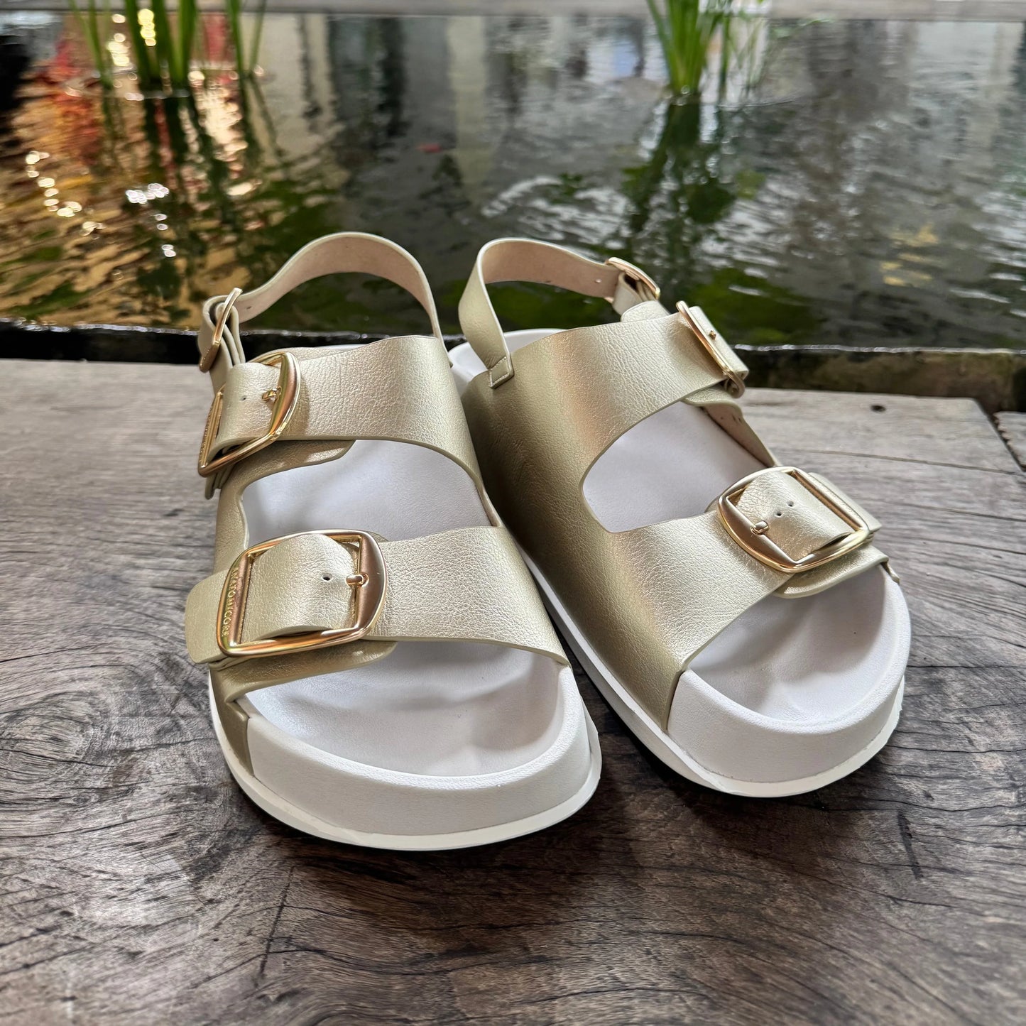 ANATOMICORE LABS - Gold