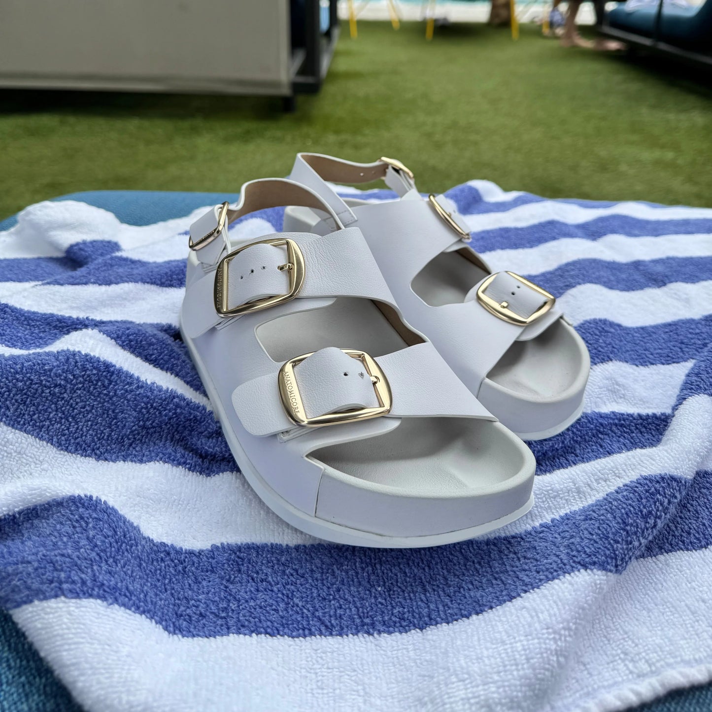 ANATOMICORE LABS - White