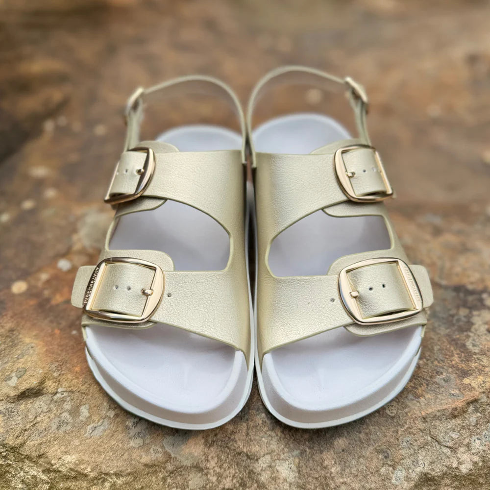 ANATOMICORE LABS - Gold