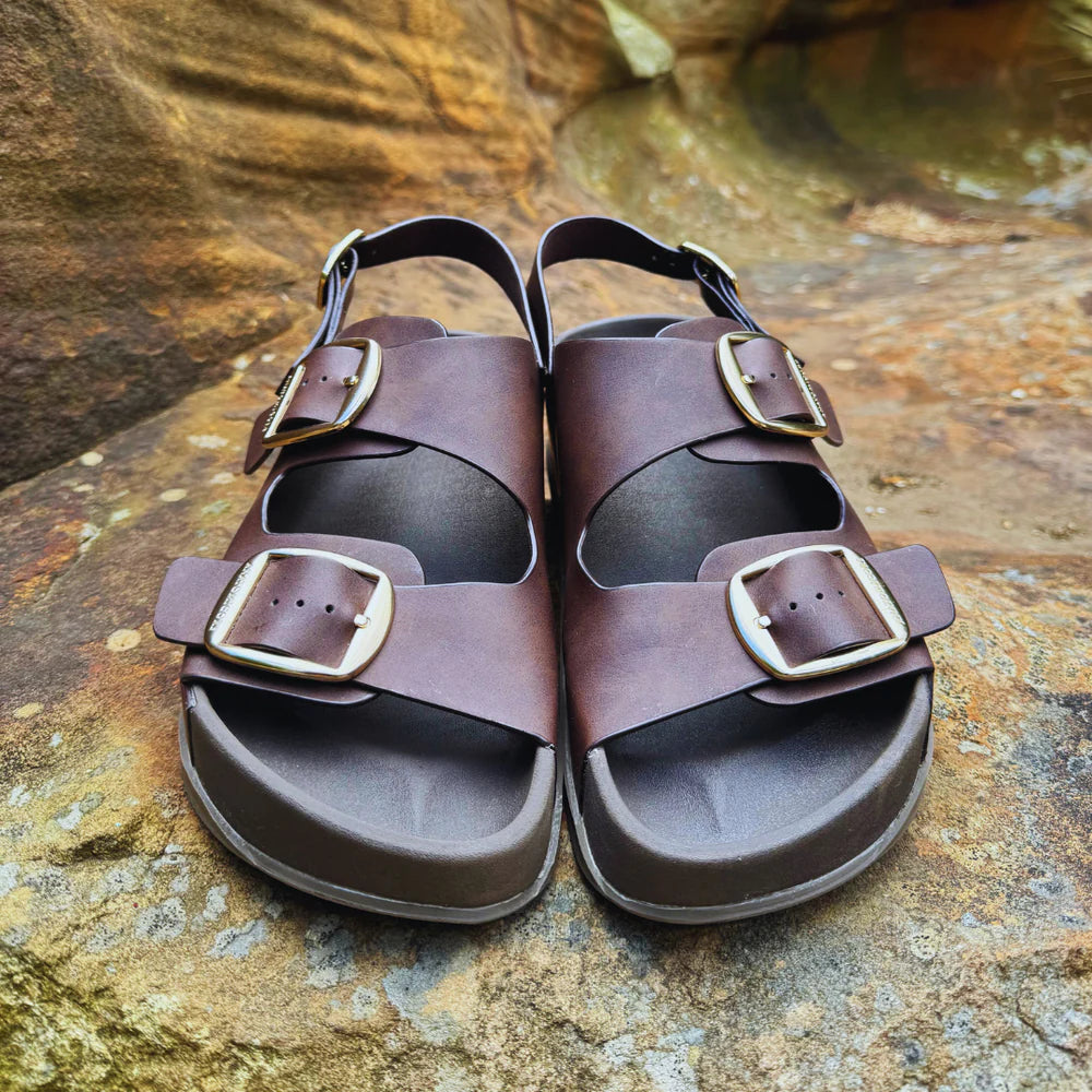 ANATOMICORE LABS- Brown